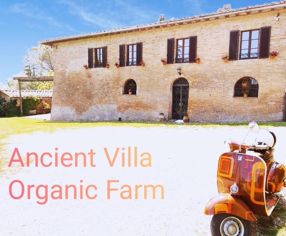Villa Poggio al Sole Bio Agriturismo private pool San Rocco a Pilli Esterno foto