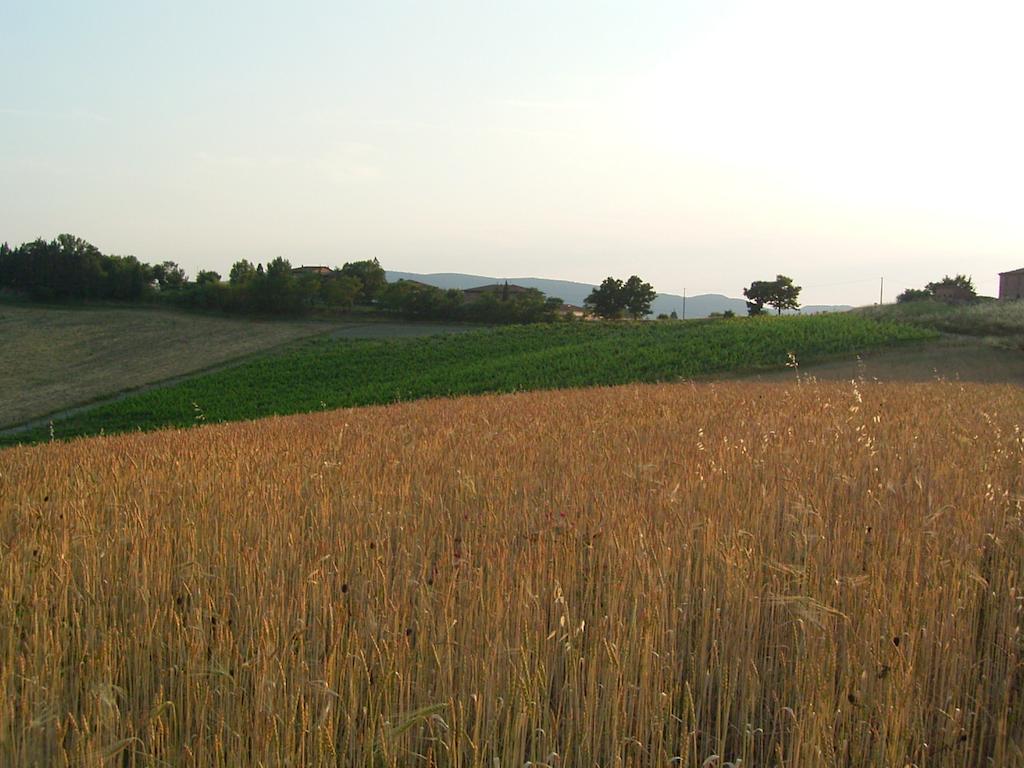 Villa Poggio al Sole Bio Agriturismo private pool San Rocco a Pilli Esterno foto